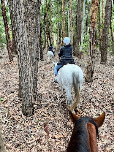 The Horse Resort - horse riding in Margaret River - Thumbnail