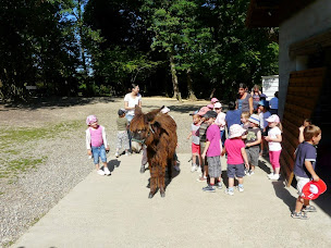 Photo n°32 de La Pêcherie d'Aurit à Hagetaubin (Parc animalier et safari)