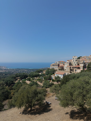 Pigna - Visual
