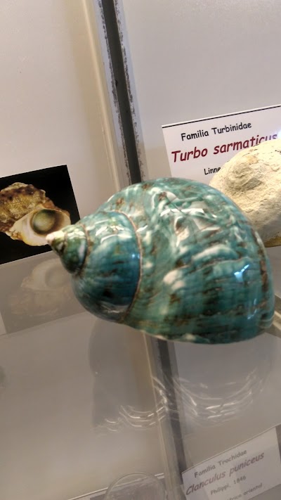 Photos of Sea Museum of Arica