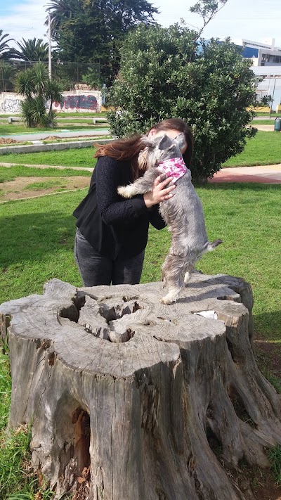Photos of Plaza de Los Loros