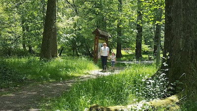 Photos of Vrelo Bosne