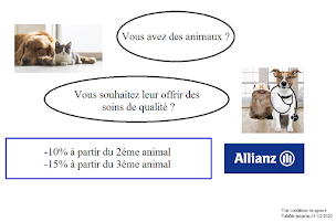 Photo n°12 de Allianz Assurance ST OMER CLEMENCEAU - Gary GOUDALIEZ à Saint-Omer (Agence d'assurance pour locataires)