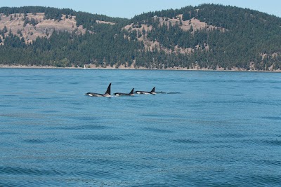 Photos of Mystic Sea Charters