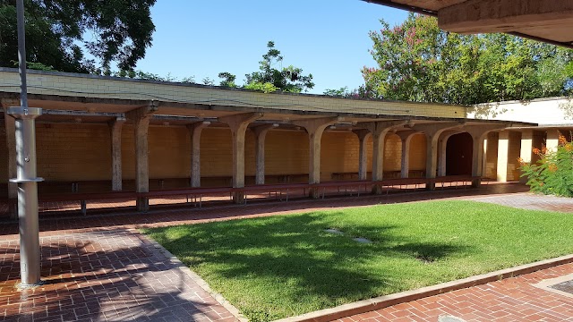 Barton Springs Municipal Pool