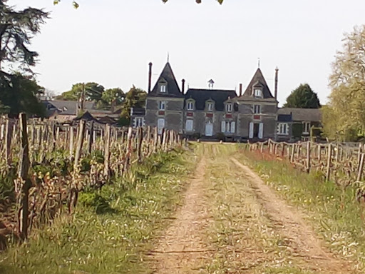 Cailleau Xavier