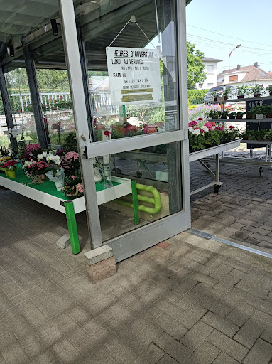 Fleurs Keller - Thumbnail