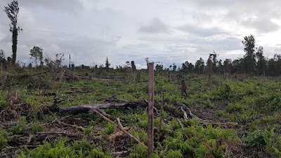 Photos of Elang Putra Angkasa
