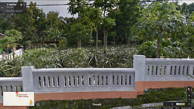 Photos of Kebun Buah Naga Lawang