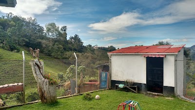 Photos of Plaza Principal