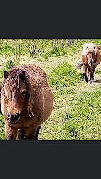 Photo n°29 de Les Cachettes de Léon à Argentonnay (Vacances à la ferme)