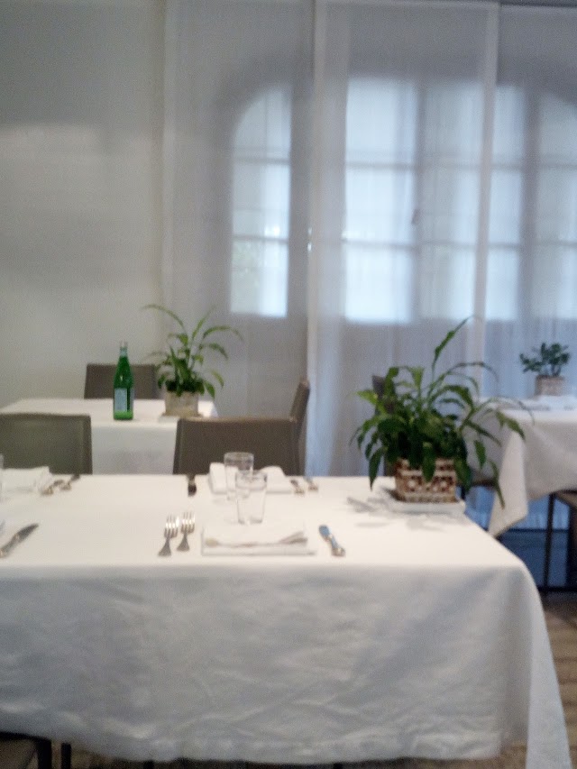 Trattoria Bazabo'