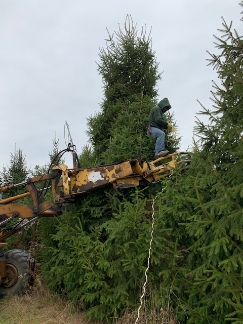 Sudbury Nurseries West, LLC.