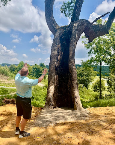 SANCTUARY TREEHOUSE RESORT by null