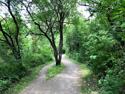 Chilligo Conservation Area - Thumbnail