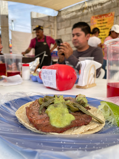 TacoTuca - Visual