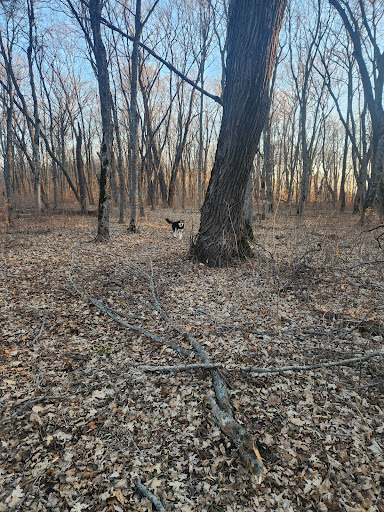 North Country Trail / Tamarac NWR - Pine Lake Parking Area - United States