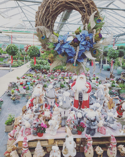 Savin Nurseries - Visual