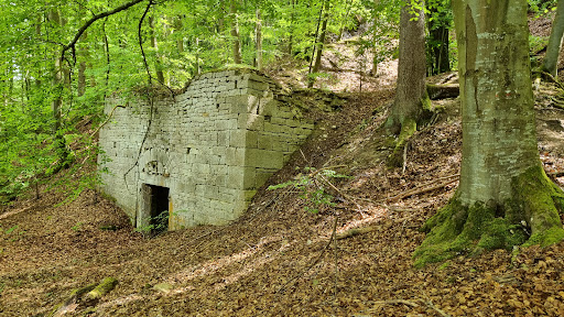 Diskothek Monument - Visual