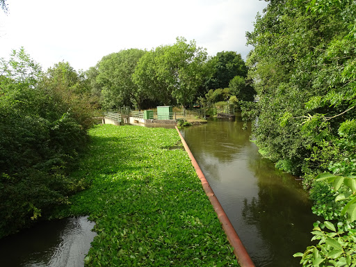 Schneckenhaus Grevenbroich - Thumbnail