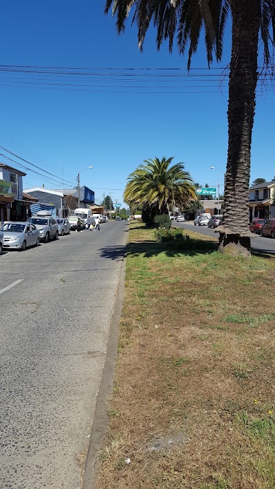 Photos of Ferreteria El Martillo