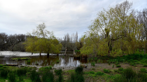 Marais de Suscinio - Thumbnail