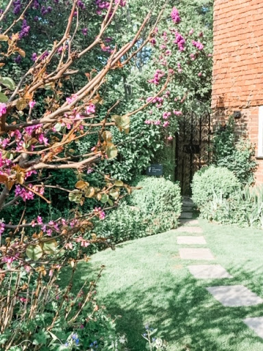 The Reflexology Place