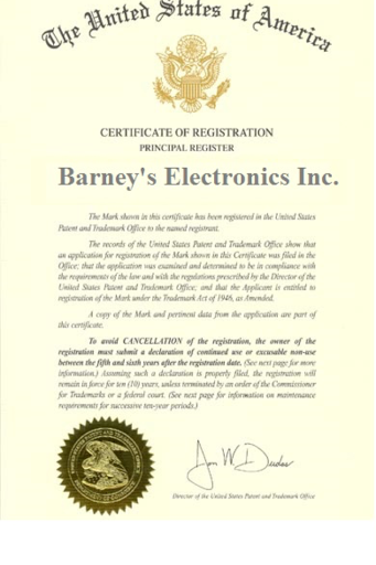 Barney's Electronics - Visual