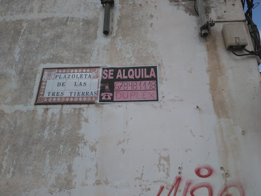 Lenflor - Visual