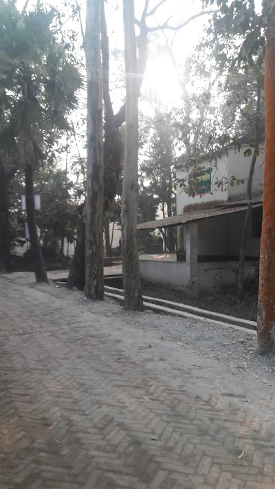 Photos of কাজী জামে মসজিদ
