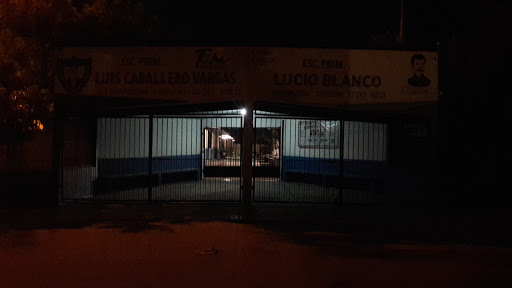 Luis Caballero Vargas