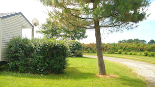 Photo n°30 de Camping De Locouarn à Clohars-Carnoët (Terrain de camping)