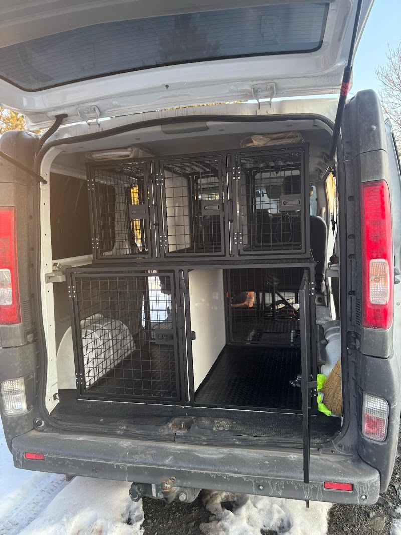 European Family Pet Transport photo 3