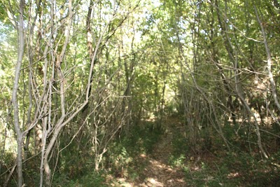 Valley Poligoni-Shkalleza