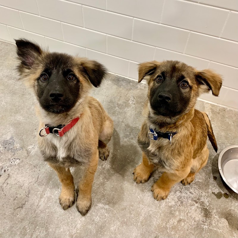 平和の森 Animal Clinic