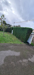 Photo n°7 de MBServices33 à Le Teich (Paysagiste)