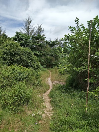 Photos of Penangkaran Penyu Guntung
