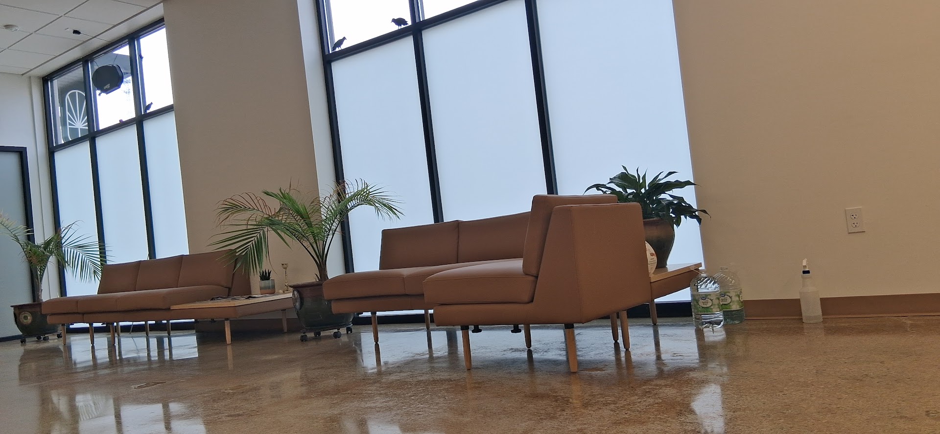 Greene Street Weed Dispensary Charleston – Lakeview Dr photo 2