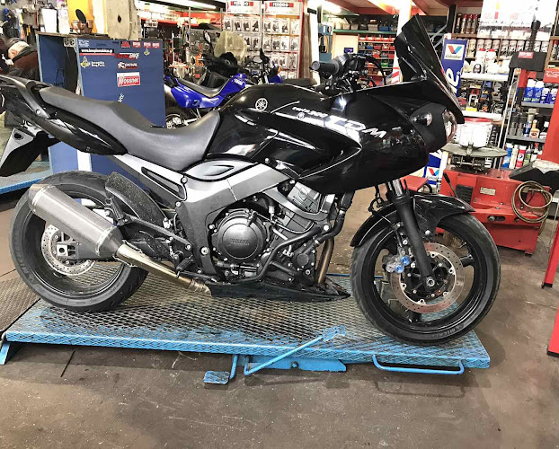 Moto Louis ΚΡΟΚΙΔΑΣ ΛΕΩΝΙΔΑΣ