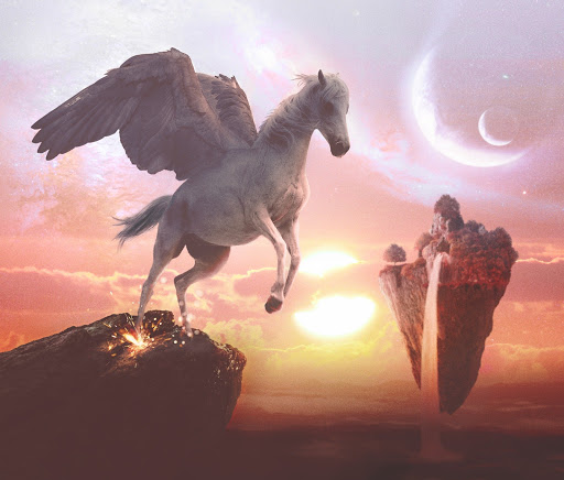 Pegaso Transfer
