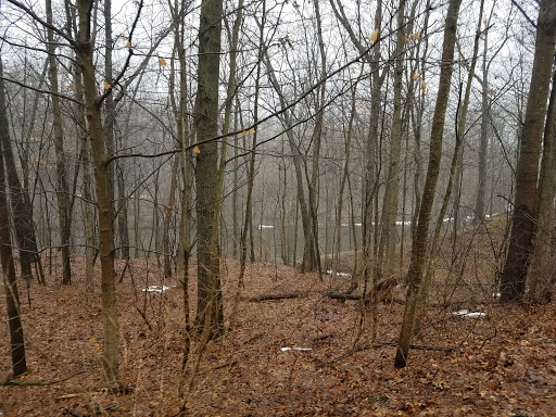 Friends Of The White Pine Trail - Thumbnail