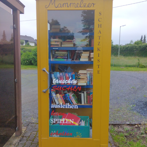 öffentlicher Bücherschrank in einer Telefonzelle