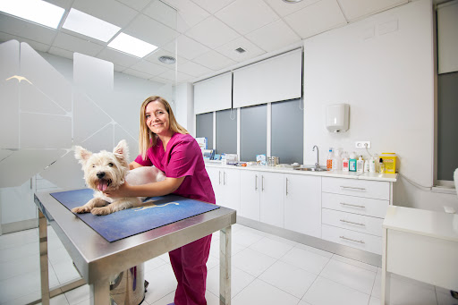 Clínica Veterinaria Salón