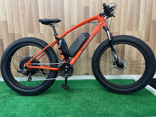Nippon e-bikes - Visual