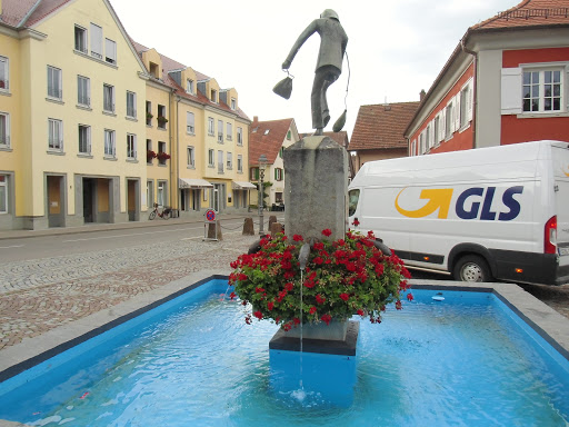 Café am Rathaus Allensbach - Thumbnail