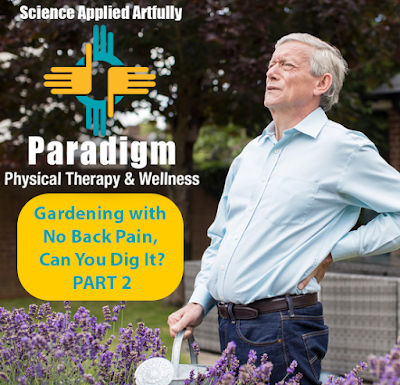 Paradigm Physical Therapy & Wellness - Belen, NM