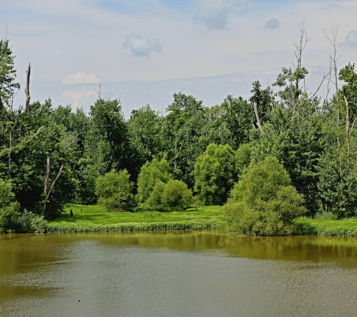 Flatrock Creek Wilderness Area