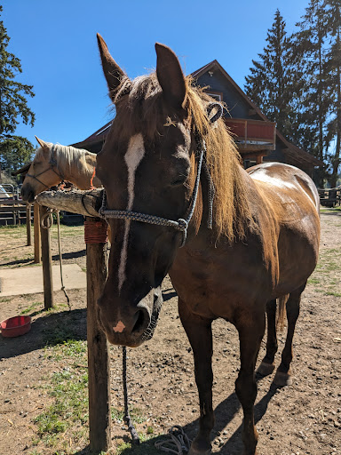 Paradise Acres Ranch - Thumbnail