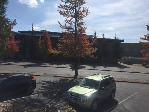 Mariner High School - Thumbnail