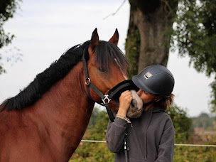 Photo n°20 de Les écuries d'indica à Le Passage (Écurie)